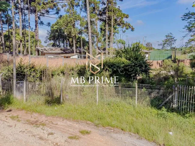 Imagem 3: Terreno a venda 607m2 - Canguiri - Colombo/PR