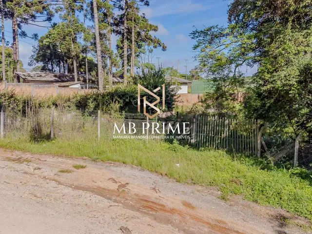 Imagem 4: Terreno a venda 607m2 - Canguiri - Colombo/PR