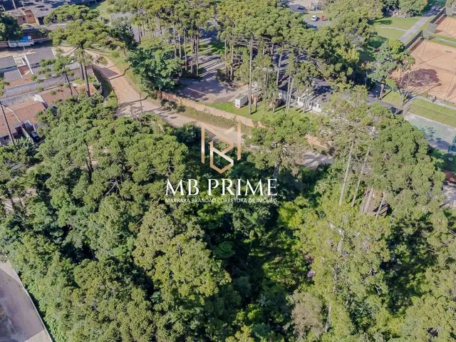 Imagem 10: Terreno a venda 607m2 - Canguiri - Colombo/PR