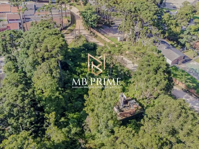 Imagem 11: Terreno a venda 607m2 - Canguiri - Colombo/PR