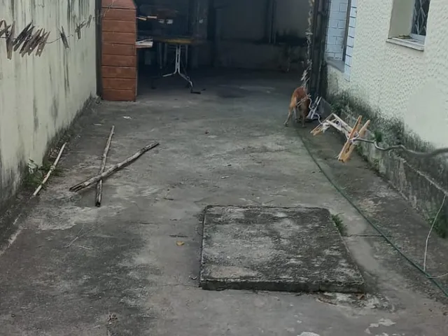 Imagem 7: Casas - 3 dormitórios - Campo Grande