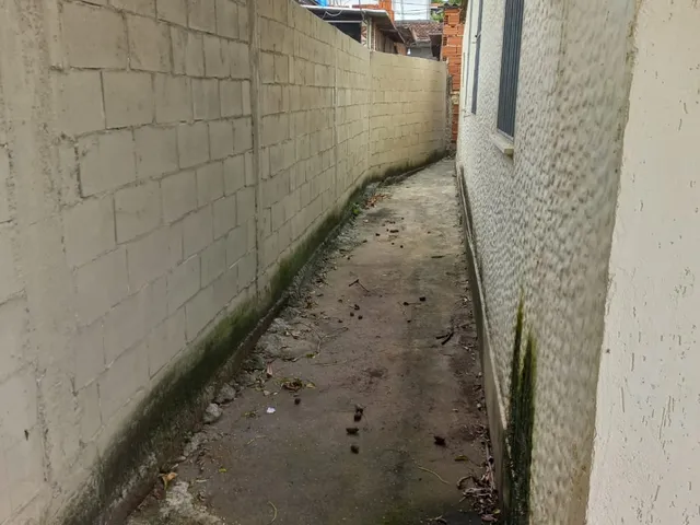 Imagem 9: Casas - 3 dormitórios - Campo Grande