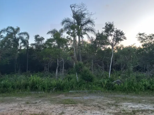 Imagem 2: Terreno a 30,00 Metros da Lagoa, em Nova Fazenda, Laguna/Sc