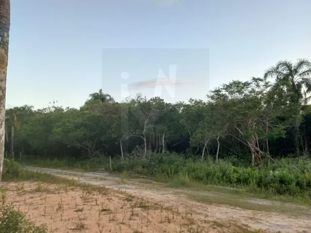 Imagem 3: Terreno a 30,00 Metros da Lagoa, em Nova Fazenda, Laguna/Sc