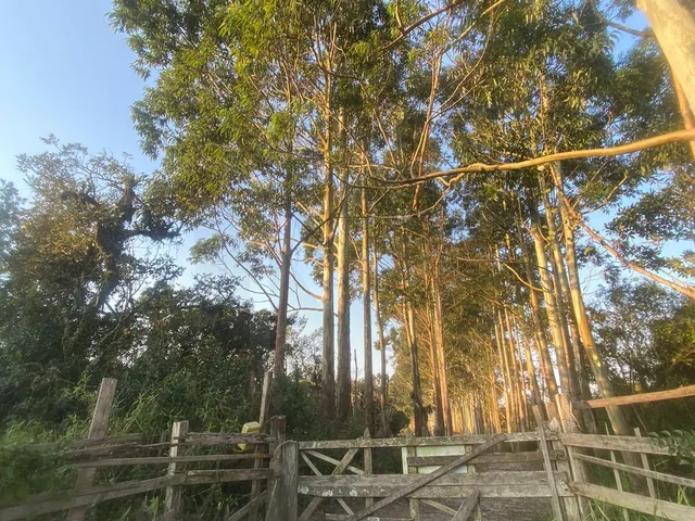 Imagem 6: 0 Terreno / lote com venda por R$6.000.000