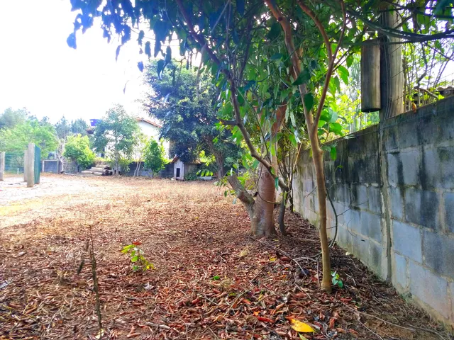 Imagem 4: 0 Casa com 4 dormitórios