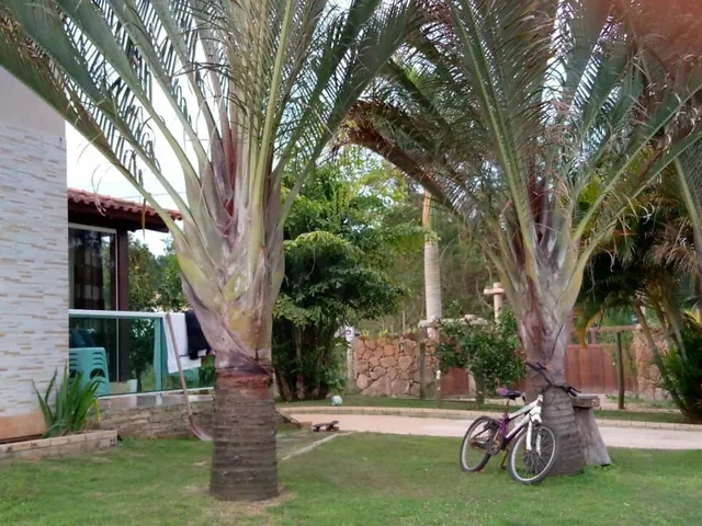 Imagem 4: Casa à venda no bairro Encantada - Garopaba/SC