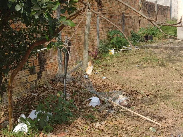 Imagem 6: Terreno à venda no bairro Praia da Ribanceira - Imbituba/SC