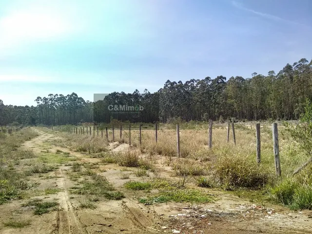 Imagem 7: Terreno para Venda em Nova Brasília Imbituba-SC
