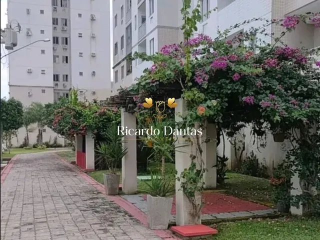 Imagem 6: Apartamento à venda no bairro Coqueiro - Belém/PA