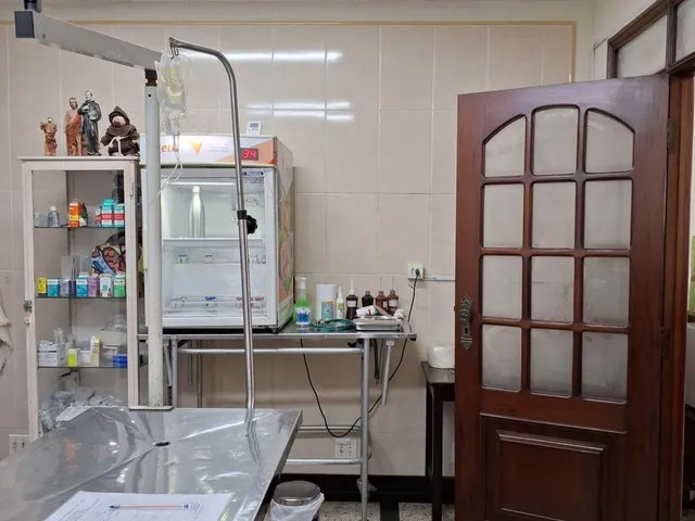 Imagem 9: Sobrado em Santos, com 4 quartos, 227m²