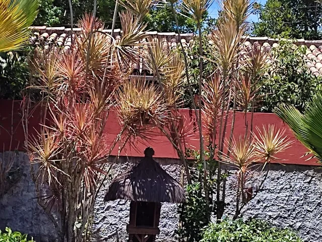 Imagem 14: Casa Térrea em Arraial d'Ajuda, Porto Seguro/BA