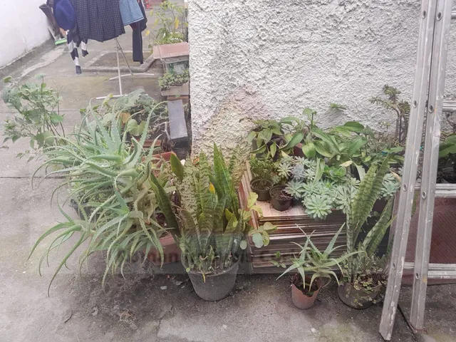 Imagem 12: Terreno em Bairro Alto, Curitiba/PR