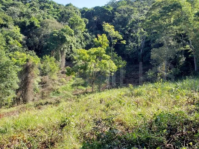 Imagem 7: Sítio de 36.000m² à venda em Várzea das Moças, Niterói