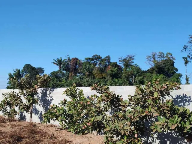 Imagem 11: CHACARA COM CASA NOVA A VENDA CON.TALISMA IV SINOP MT