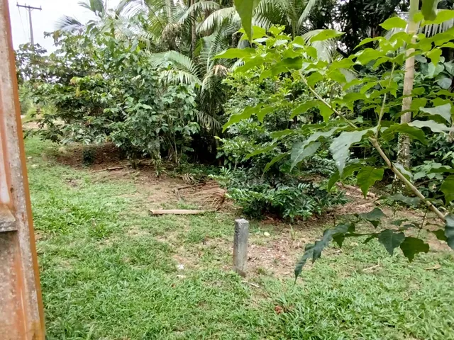 Imagem 4: Lotes a Venda em Morretes
