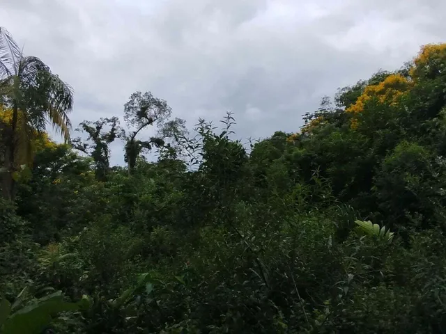 Imagem 16: Lotes a Venda em Morretes