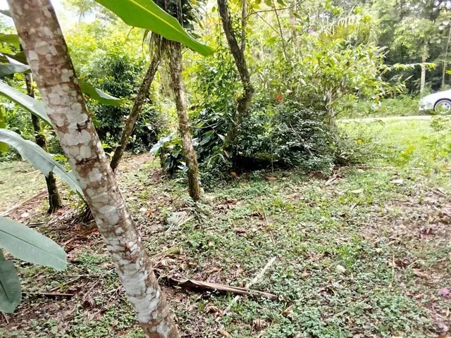 Imagem 11: Lotes a Venda em Morretes