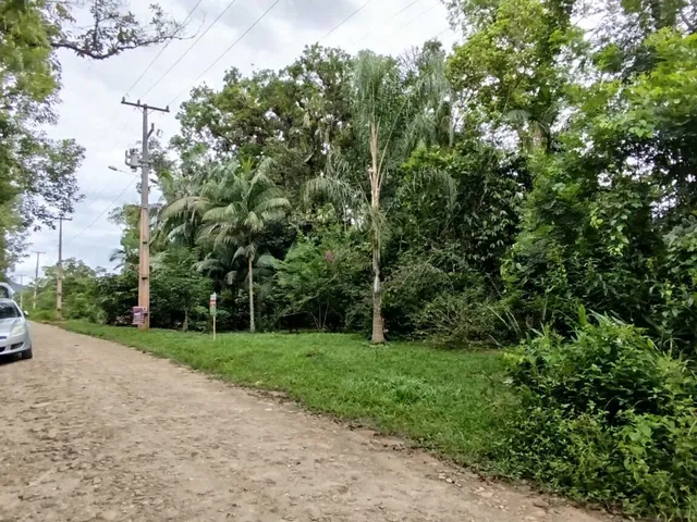 Imagem 9: Lotes a Venda em Morretes
