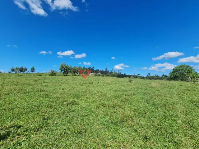 Imagem 1: Fazenda à venda em Araruama: 1.258.400m², 4 quartos