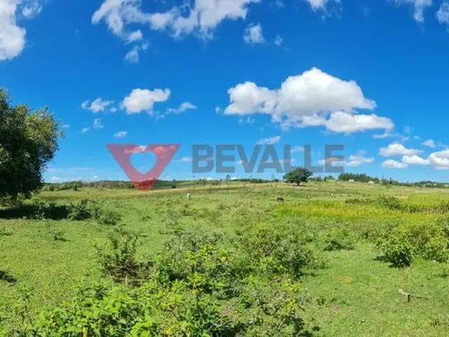 Imagem 10: Fazenda à venda em Araruama: 1.258.400m², 4 quartos