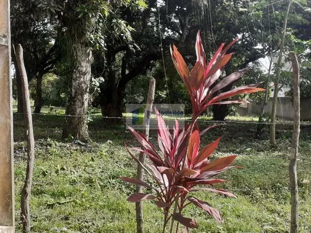 Imagem 5: Terreno em Aldeia