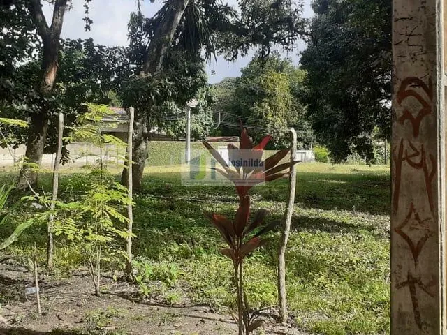 Imagem 4: Terreno em Aldeia
