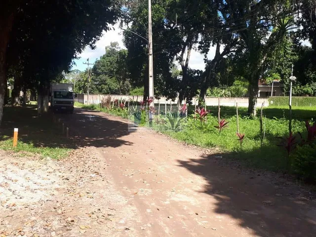 Imagem 2: Terreno em Aldeia