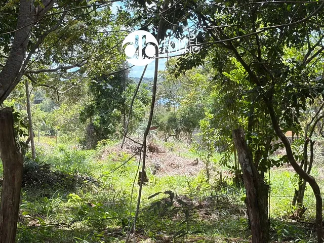 Imagem 7: Aruá - Sapiranga - Terreno próximo da Lagoa Aruá