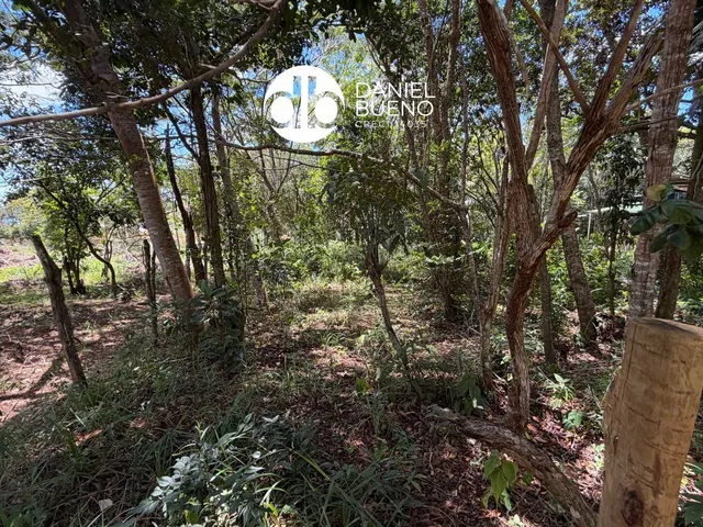 Imagem 2: Aruá - Sapiranga - Terreno próximo da Lagoa Aruá