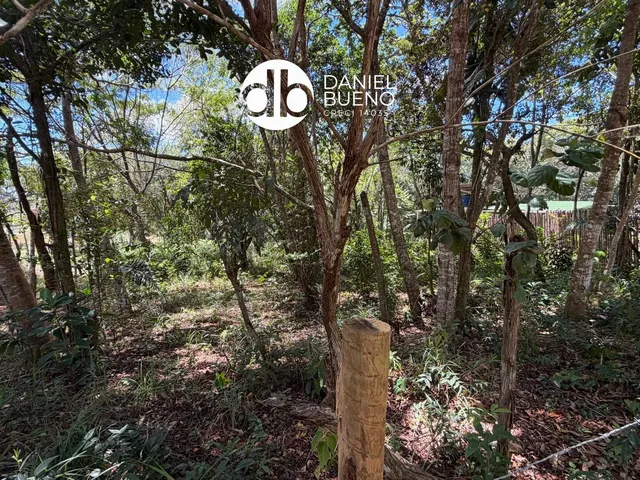 Imagem 5: Aruá - Sapiranga - Terreno próximo da Lagoa Aruá