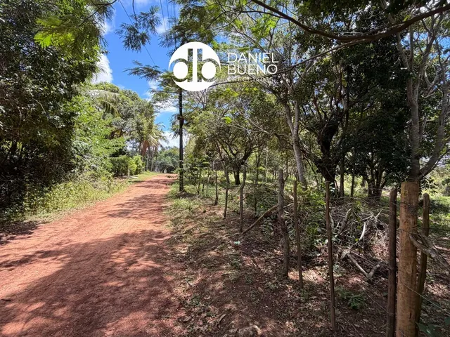 Imagem 6: Aruá - Sapiranga - Terreno próximo da Lagoa Aruá