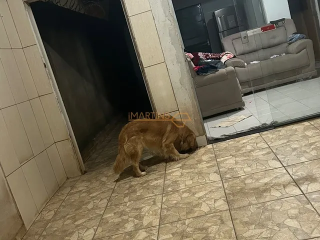 Imagem 5: Casa á Venda Casa com 3 dormitórios
