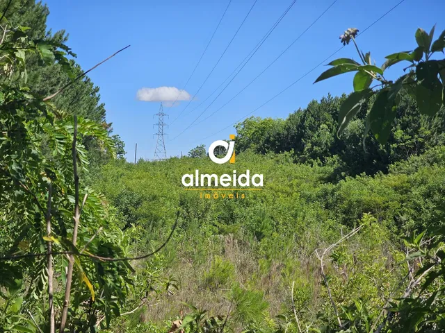 Imagem 6: Terreno Comercial em Camobi, Santa Maria, RS