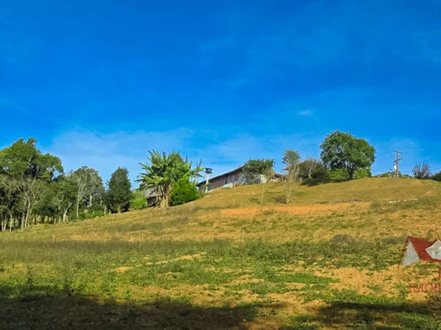 Imagem 6: CHACARA RURAL em SÃO JOSÉ DOS PINHAIS - PR, Roça Velha