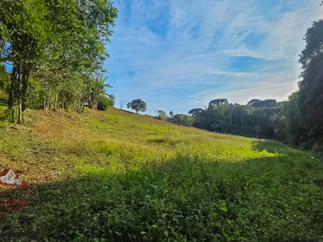 Imagem 14: CHACARA RURAL em SÃO JOSÉ DOS PINHAIS - PR, Roça Velha