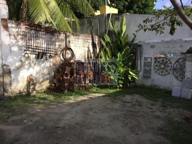 Imagem 10: Casa à Venda em Casa Forte