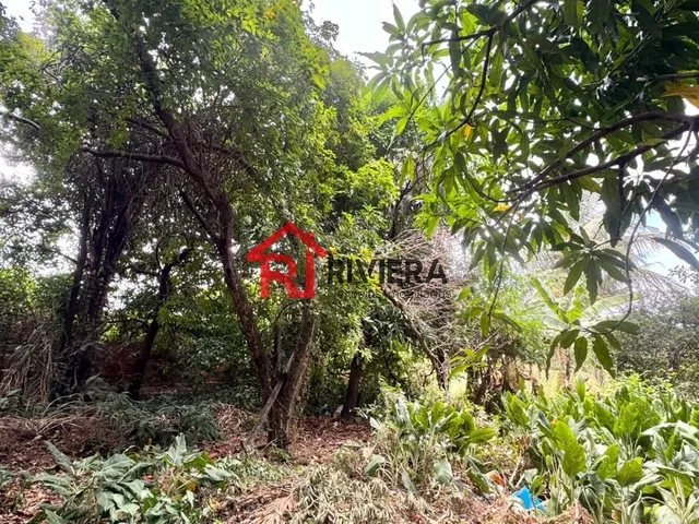 Imagem 2: Terreno à venda em São Luis-MA, Jardim Eldorado, 1.000m² de área! A oportunidade que