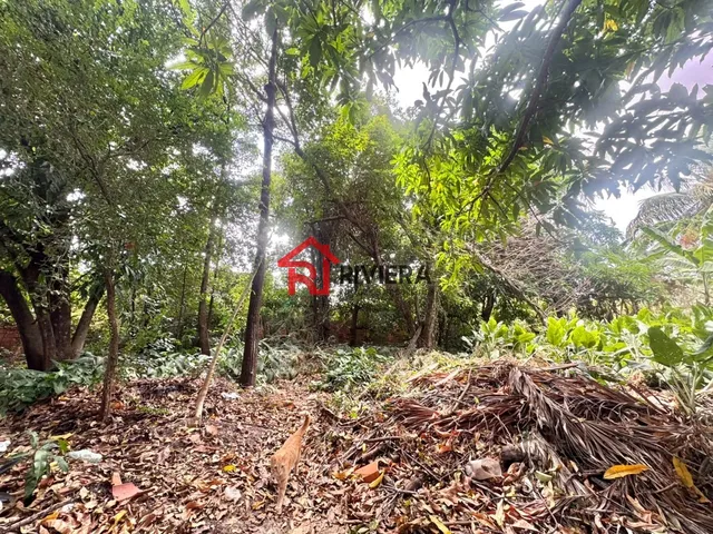 Imagem 5: Terreno à venda em São Luis-MA, Jardim Eldorado, 1.000m² de área! A oportunidade que
