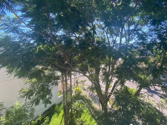 Imagem 2: Imóvel à venda em Dois Irmãos: Apartamento 74m² com Sala e Cozinha Integradas