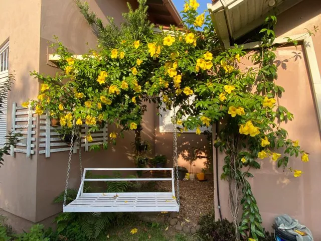 Imagem 6: Excelente Casa no Bairro Sete de Setembro