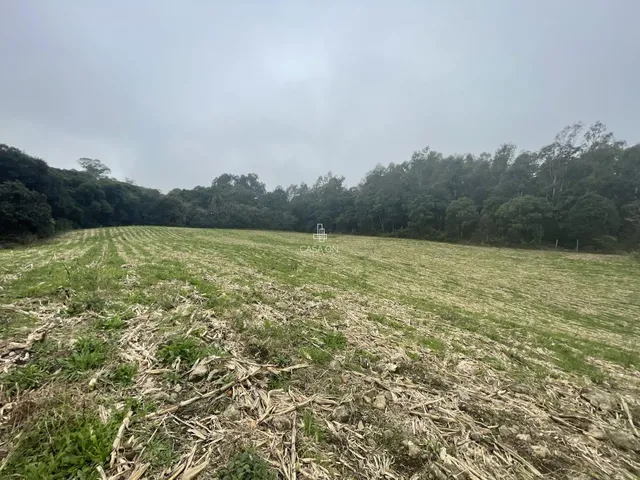 Imagem: Chácara à venda em Caxias do Sul no bairro