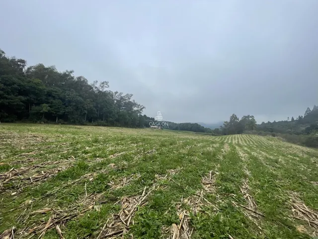 Imagem 3: Chácara à venda em Caxias do Sul no bairro Forqueta