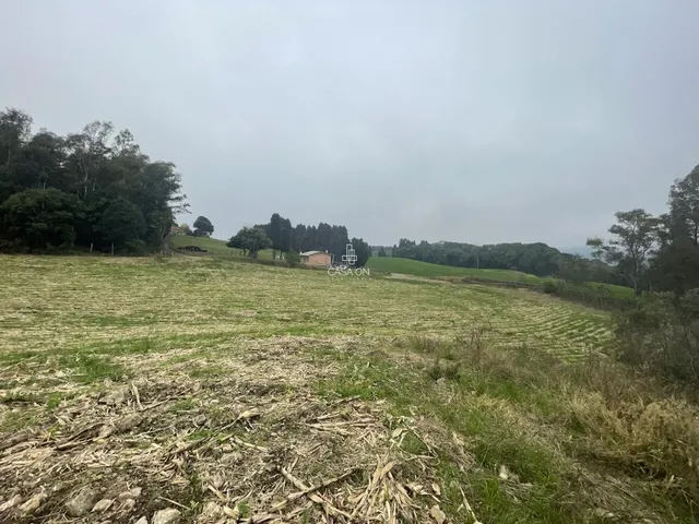 Imagem 4: Chácara à venda em Caxias do Sul no bairro Forqueta