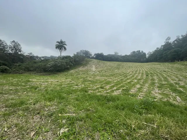 Imagem 5: Chácara à venda em Caxias do Sul no bairro Forqueta