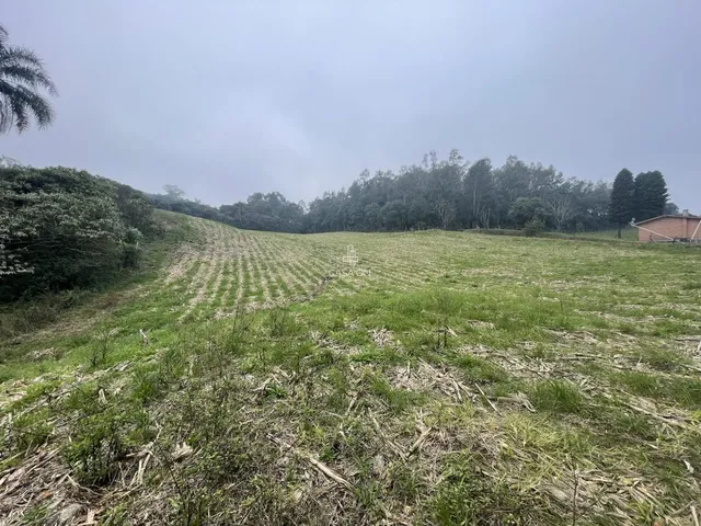 Imagem 6: Chácara à venda em Caxias do Sul no bairro Forqueta
