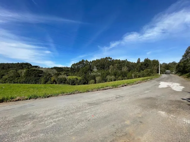 Imagem 2: Área Industrial À Venda em Farroupilha na Linha Julieta
