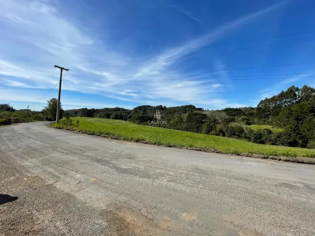 Imagem 3: Área Industrial À Venda em Farroupilha na Linha Julieta