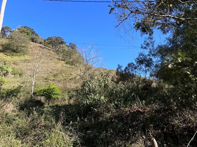 Imagem 2: Terreno Comercial Imperdível em Delfim Moreira-Mg, no Bairro Água Limpa: Oportunidade Única! 15 Hectares