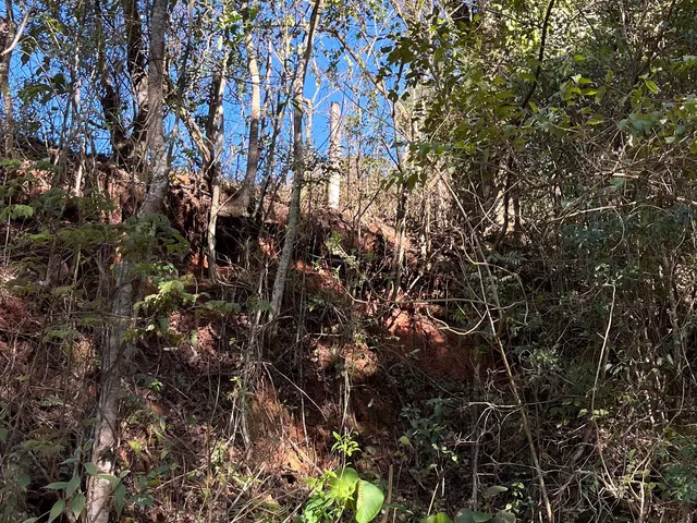 Imagem 6: Terreno Comercial Imperdível em Delfim Moreira-Mg, no Bairro Água Limpa: Oportunidade Única! 15 Hectares
